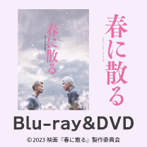 【映画『春に散る』】Blu-ray&DVD！