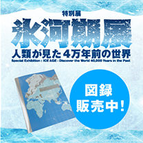 【特別展「氷河期展 」】図録 販売中！