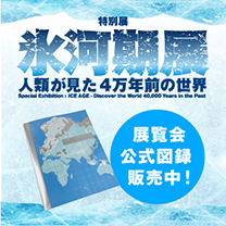 【特別展「氷河期展 」】展覧会公式図録 販売中！