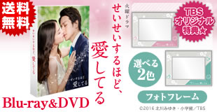 17174円DVD せいせいするほど、愛してる