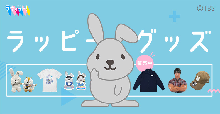 ラッピーデパート　Tシャツ　盛山vsラッピー　XL ラヴィット!／【MWL】盛山vsラッピーTシャツ | TBSショッピング