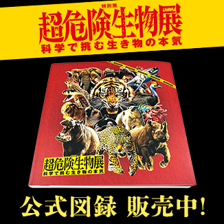 DVD　あのクズを殴ってやりたいんだ　全5巻　レンタル落ち あのクズを殴ってやりたいんだ | TBSショッピング