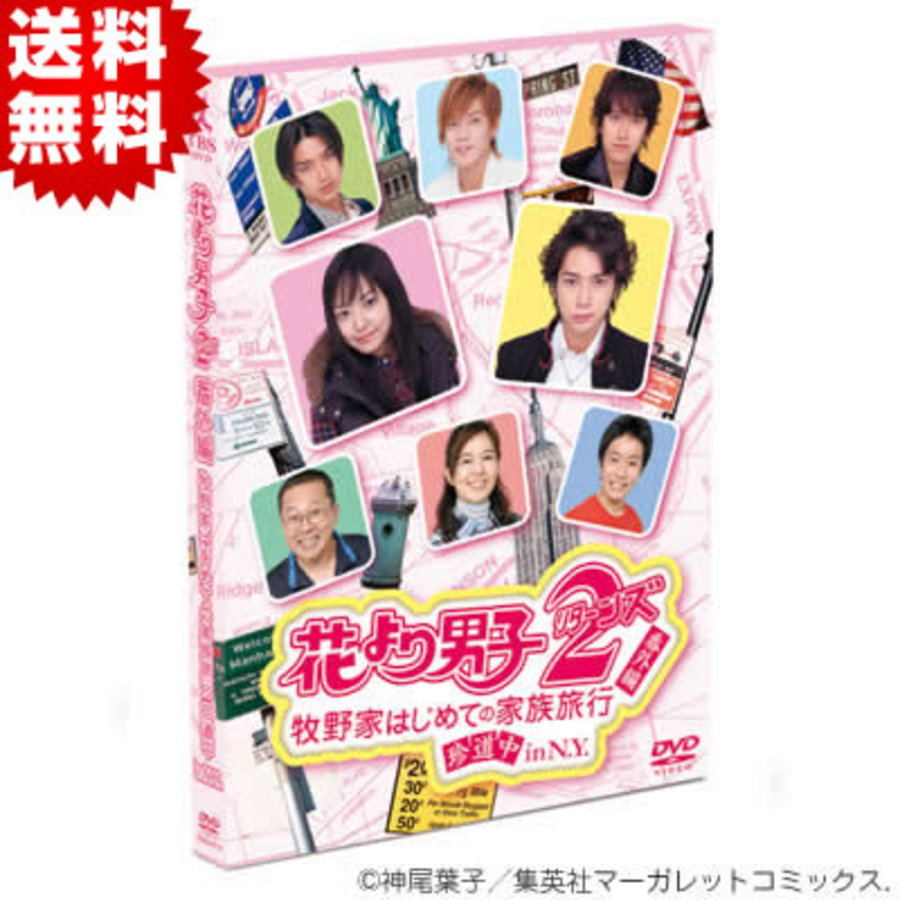 N 花より男子 DVD 2枚組 - DVD/ブルーレイ