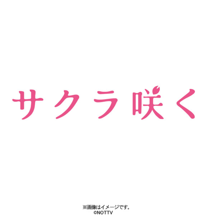 サクラ咲く／DVD（2枚組） | TBSショッピング