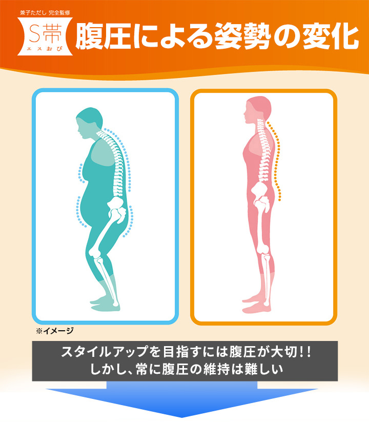 兼子ただし完全監修「S帯」 | ＴＢＳショッピング