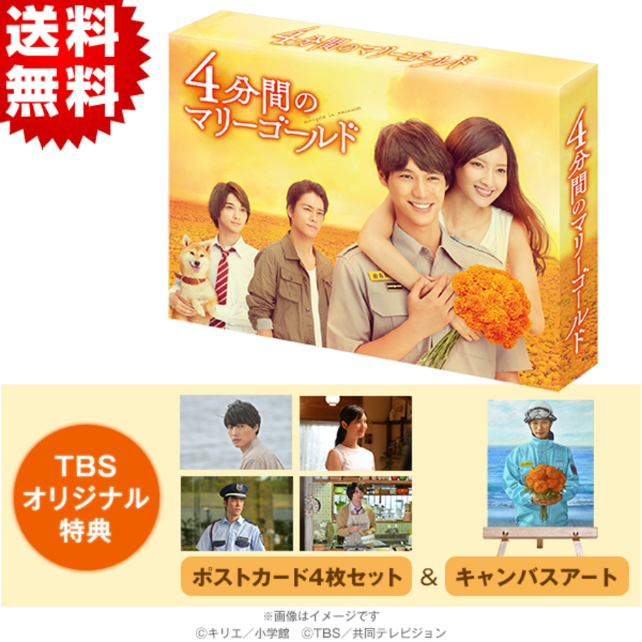 4分間のマリーゴールド／DVD-BOX（TBSオリジナル特典・送料無料・6枚組