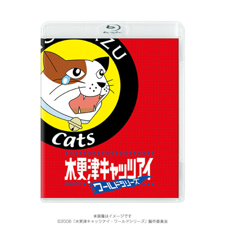 MCU木更津キャッツアイ DVD 1〜5＆日本シリーズ＆ワールド