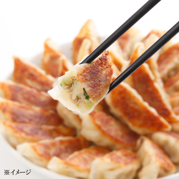 大阪王将 餃子／50個×5 計250個 | TBSショッピング