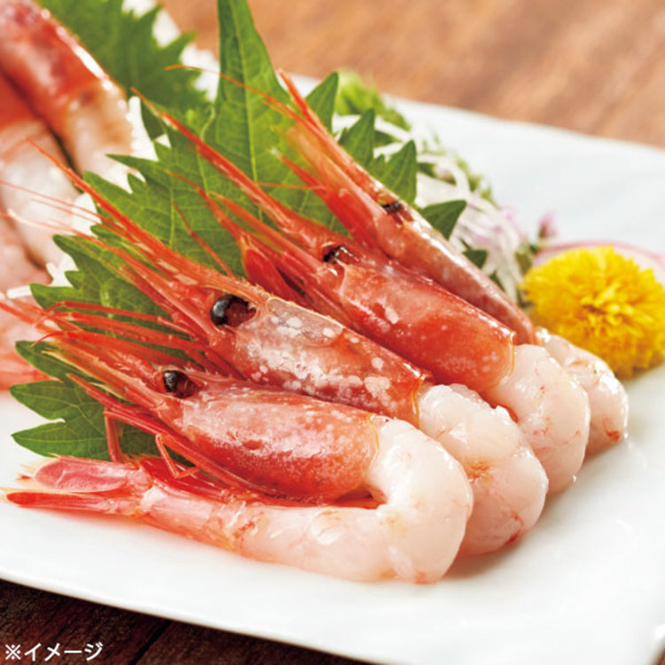 兵庫県産 甘えび お刺身用 50尾 ｔｂｓショッピング