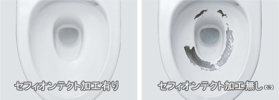 たった1日でピカピカ美しく!