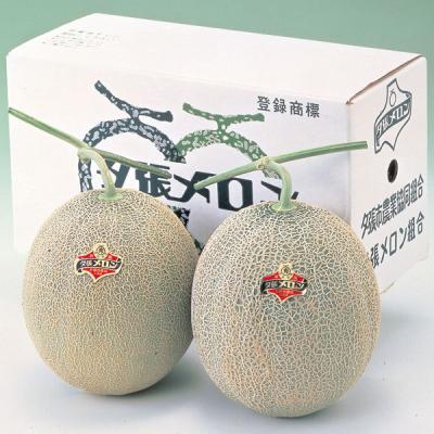 【贈答用】JA夕張市 夕張メロン/1.6kg×2 計3.2kg 【贈答用】JA夕張市 夕張メロン/1.6kg×2 計3.2kg