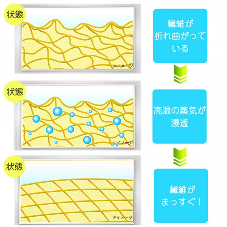 特別価格】±0 プラスマイナスゼロ スタイルスチーマー（送料無料