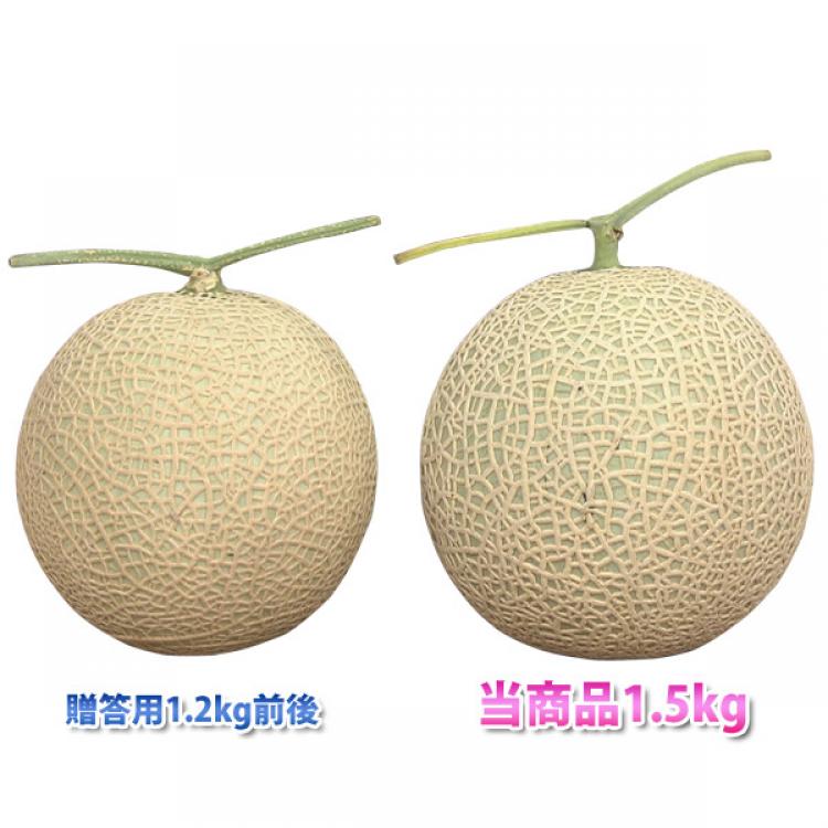 熊本県産 はねだしマスクメロン 1 5kg 3玉 ｔｂｓショッピング