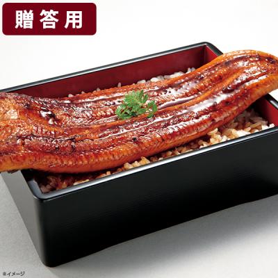 【贈答用】鹿児島県産 うなぎ長焼き/100g×8尾 【贈答用】鹿児島県産 うなぎ長焼き/100g×8尾
