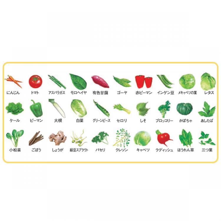 伊藤園 ぎゅっと濃厚 30品目 野菜ジュース／機能性表示食品