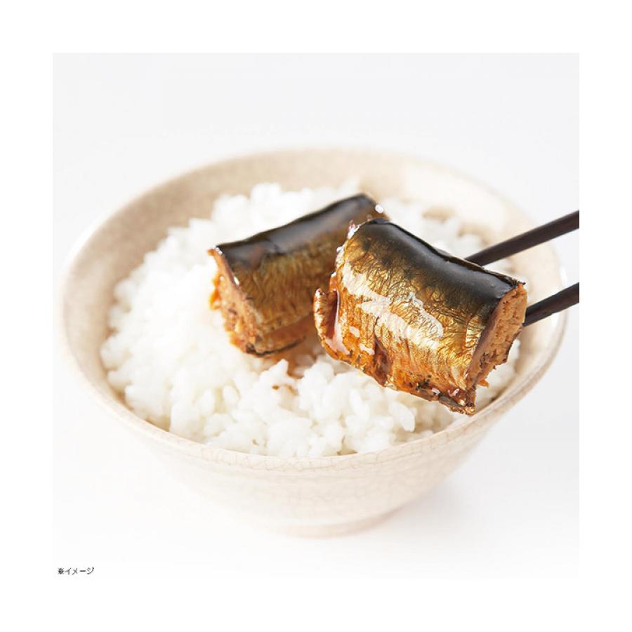 1122円 【91%OFF!】 骨まで柔らか煮魚セット 20食セット