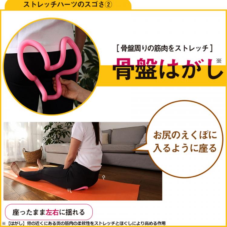 ほぼ新品 ストレッチハーツ ストレッチターボ 全セット 健康器具 ジム 運動器具 楽天市場】【2日間限定抽選で全額クーポン】TVで紹介 保阪尚希