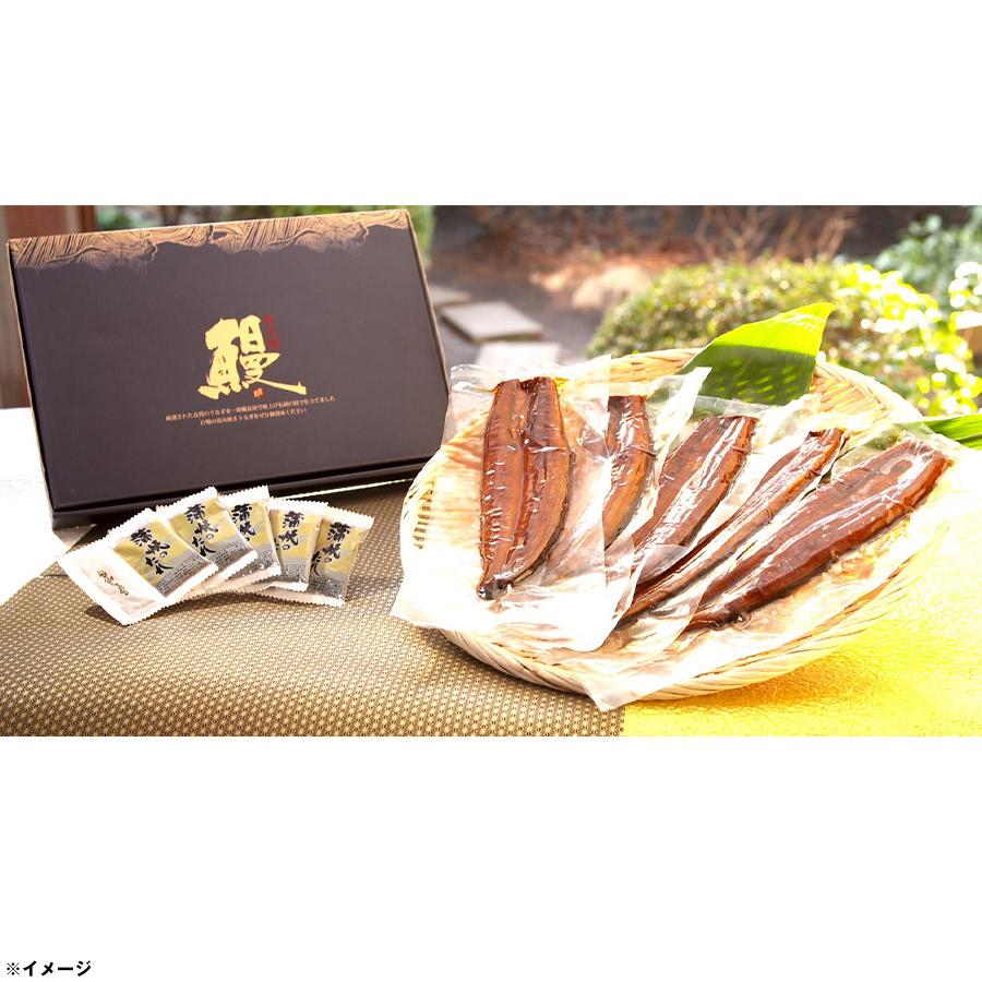 贈答用 九州産 うなぎ長焼き 100g 5 計500g ｔｂｓショッピング