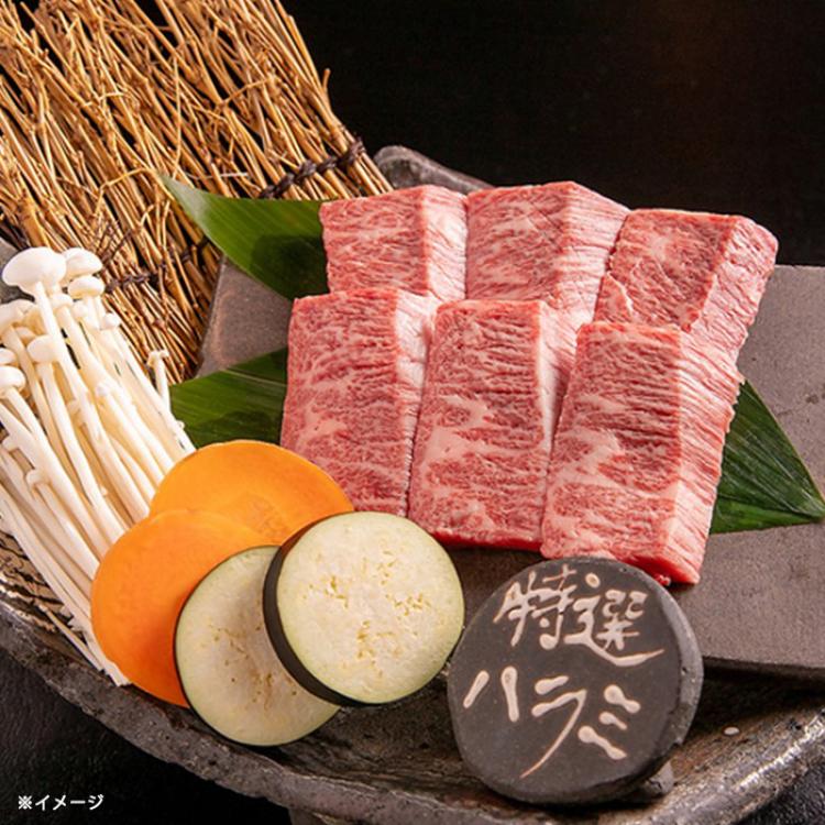 薩摩屋 おすすめ焼肉セット／計500g | ＴＢＳショッピング