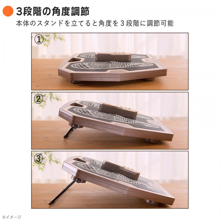 S1266【アウトレット品】保阪流ウェルネスフットエナジーPRO