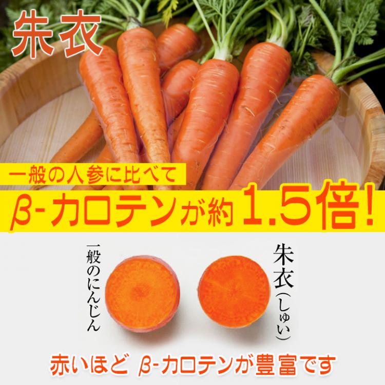 機能性表示食品】伊藤園「健康体」30品目野菜（缶）／160g×30本