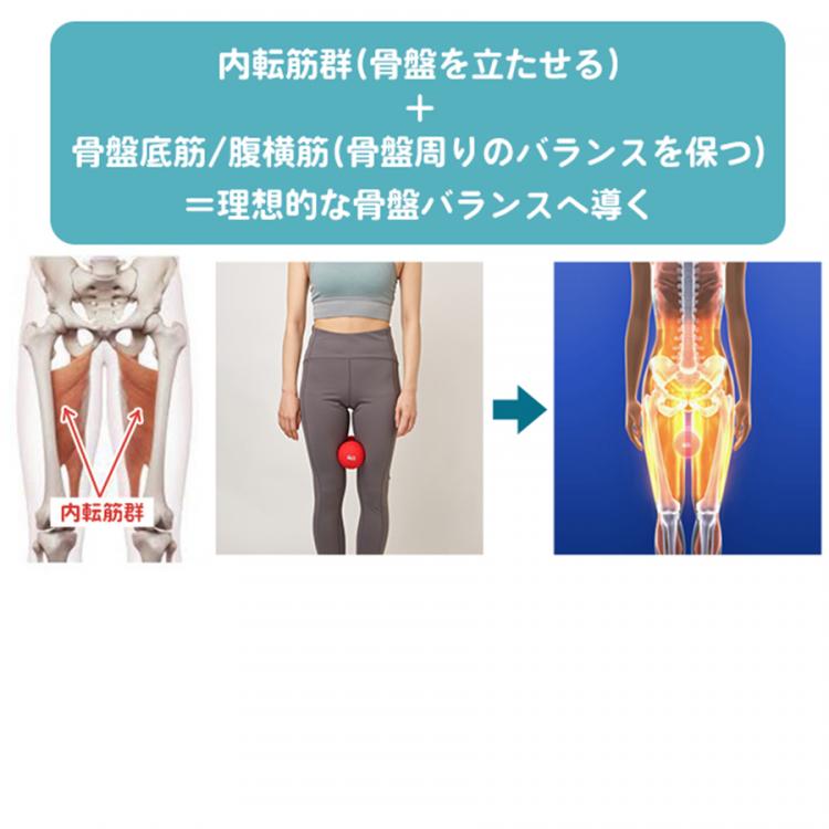 特別価格】シェイプツインボール／振動マシン（5段階調整） | ＴＢＳ