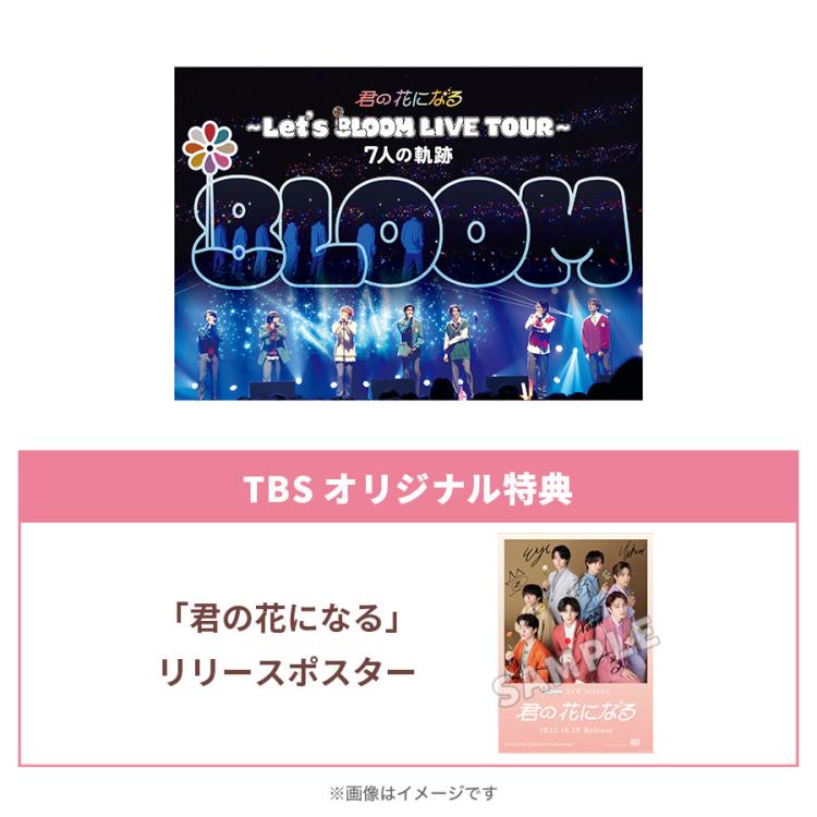 最新情報 TBS火曜ドラマ『君の花になる』DVD-BOX / 本田翼 8LOOM TV