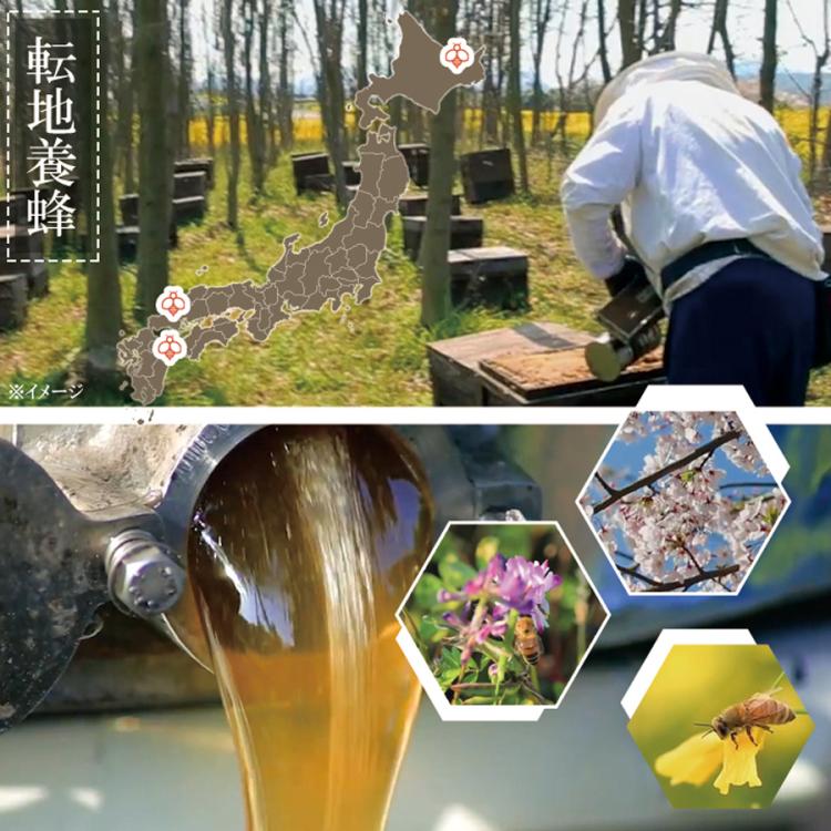 専用【紅葉まま様】百花蜜・1000g×4本セット 近藤養蜂場 / 国産百花蜜 500g×4本 計2㎏セット