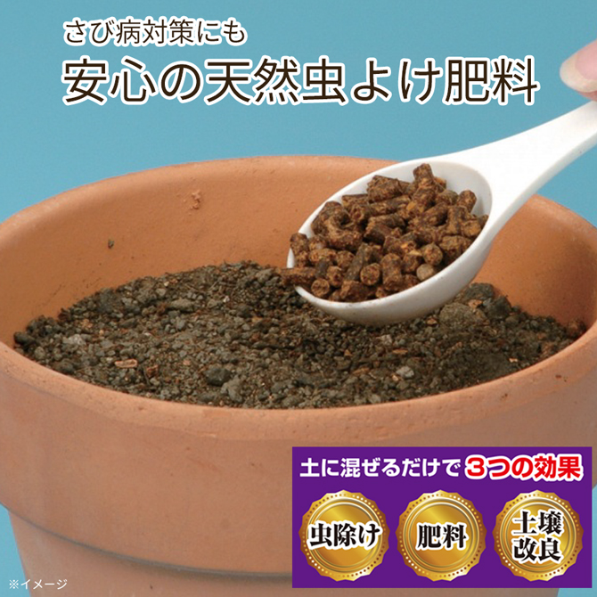 約200種類の害虫に効果を発揮！
「ニーム」って何？