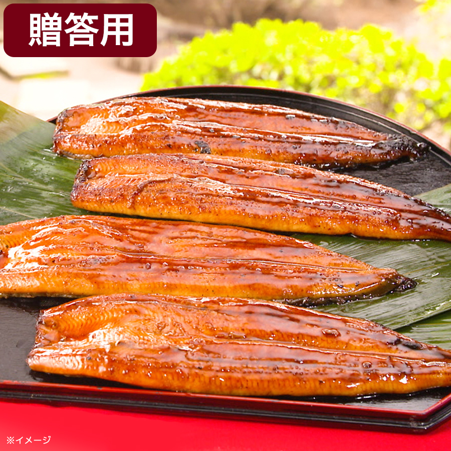うなぎ蒲焼 長焼大8本 セット（真空） | うなぎ浜名湖や