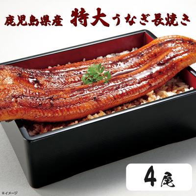 鹿児島県産特大うなぎ長焼き/200g×4尾 鹿児島県産特大うなぎ長焼き/200g×4尾