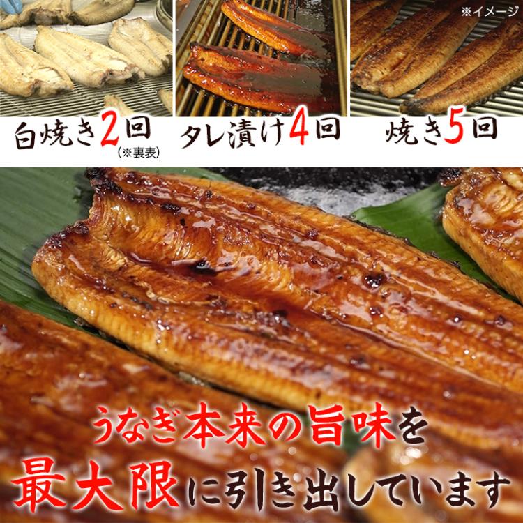 国産はねだしうなぎ長焼き／無選別／3～4尾 計550g／タレ・山椒付き