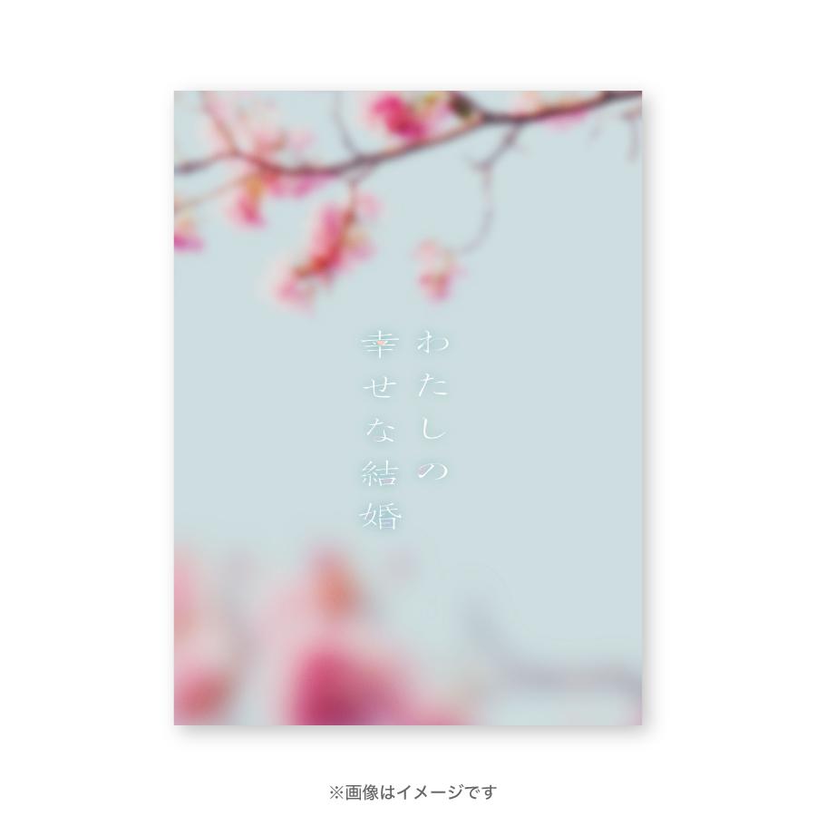 映画『わたしの幸せな結婚』／豪華版／Blu-ray（3枚組 ...