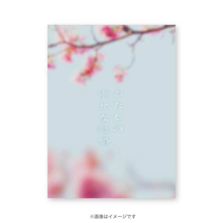 わたしの幸せな結婚 豪華版　3枚 Blu-ray