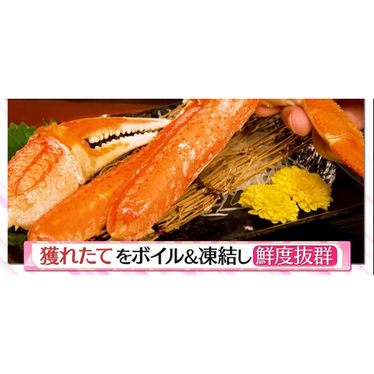 特別価格】ボイル大ズワイガニ脚肩肉(4～5肩 )／計2kg | ＴＢＳ