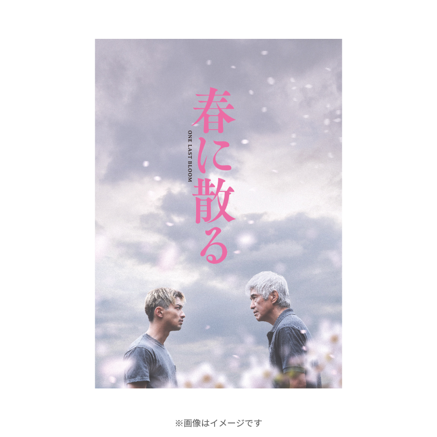 陽のあたる場所 スペシャル・コレクターズ・エディション [DVD] Amazon.co.jp: 陽のあたる場所 スペシャル・コレクターズ