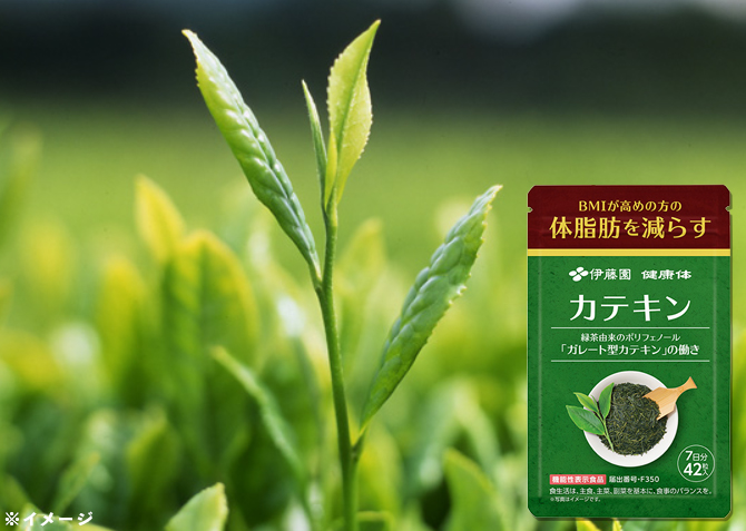 緑茶由来の「カテキン」を手軽にサプリメントで！