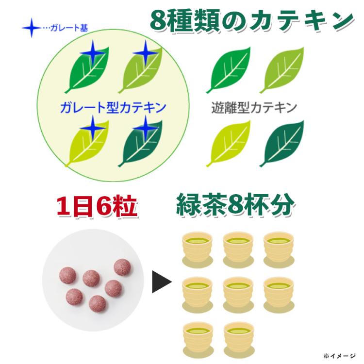 伊藤園「健康体」カテキン／機能性表示食品／1袋(42粒入・7日分)×4／28