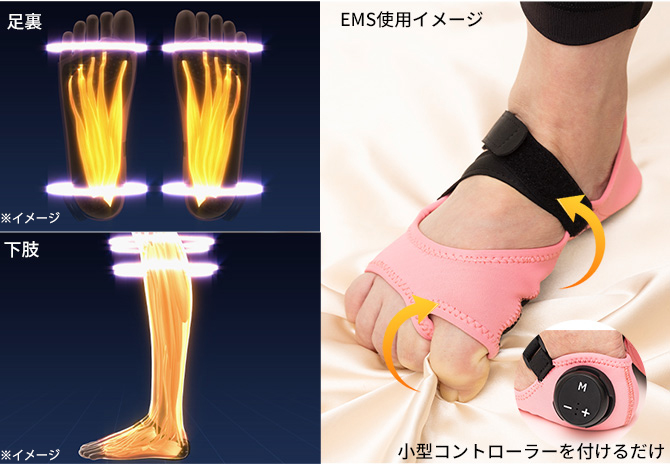 EMS（低周波、中周波、高周波）で筋肉を刺激
刺激パターンは100種類以上！