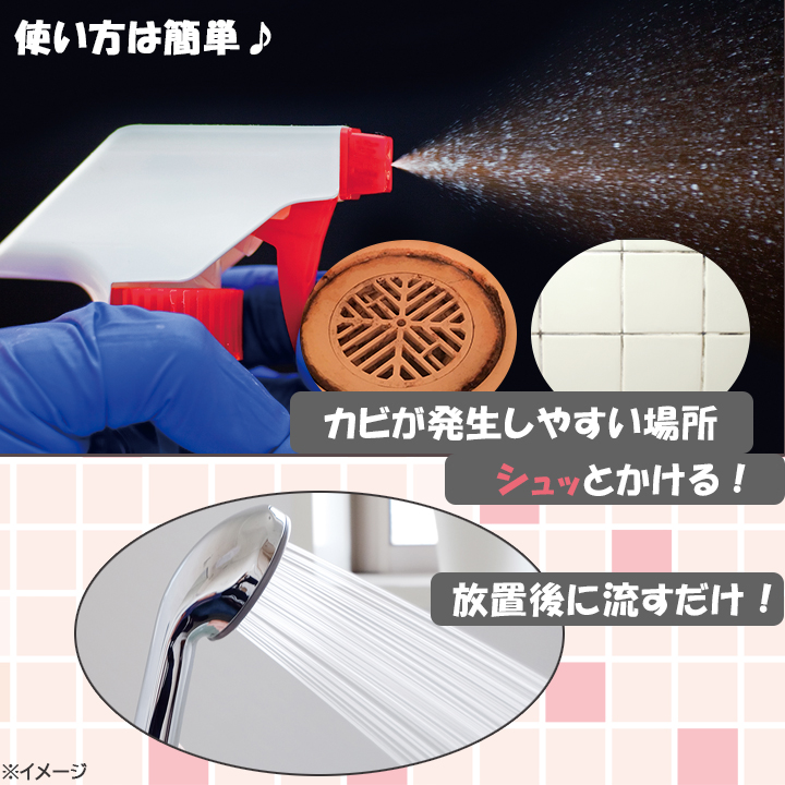 スパイダージェル／1本 または 3本／カビ取り剤 | TBSショッピング