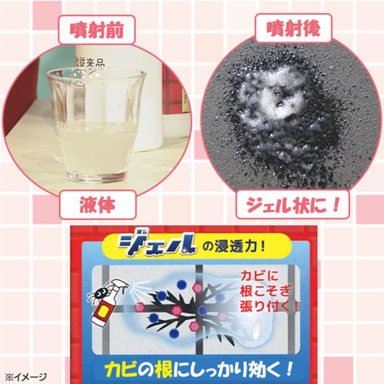スパイダージェル／1本 または 3本／カビ取り剤 | TBS
