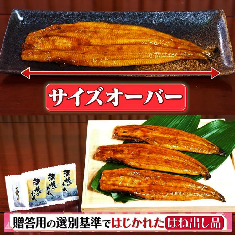 今 お得！】鹿児島県産 うなぎ長焼き／サイズ無選別／合計400g(3尾) または 合計800g(6尾) | ＴＢＳショッピング