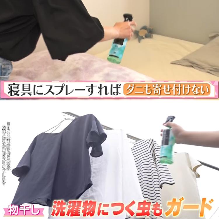 ヒバウッドプラス／2本 または 4本／防虫スプレー／防虫剤／害虫