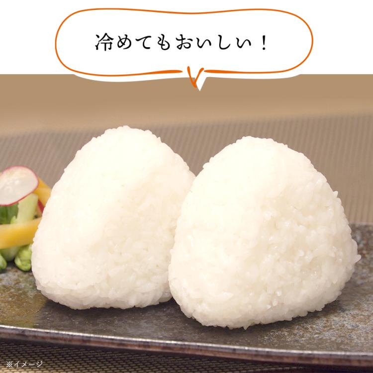 定期購入】＜隔月コース＞令和6年産 宮城県産 だて正夢／5kg×2