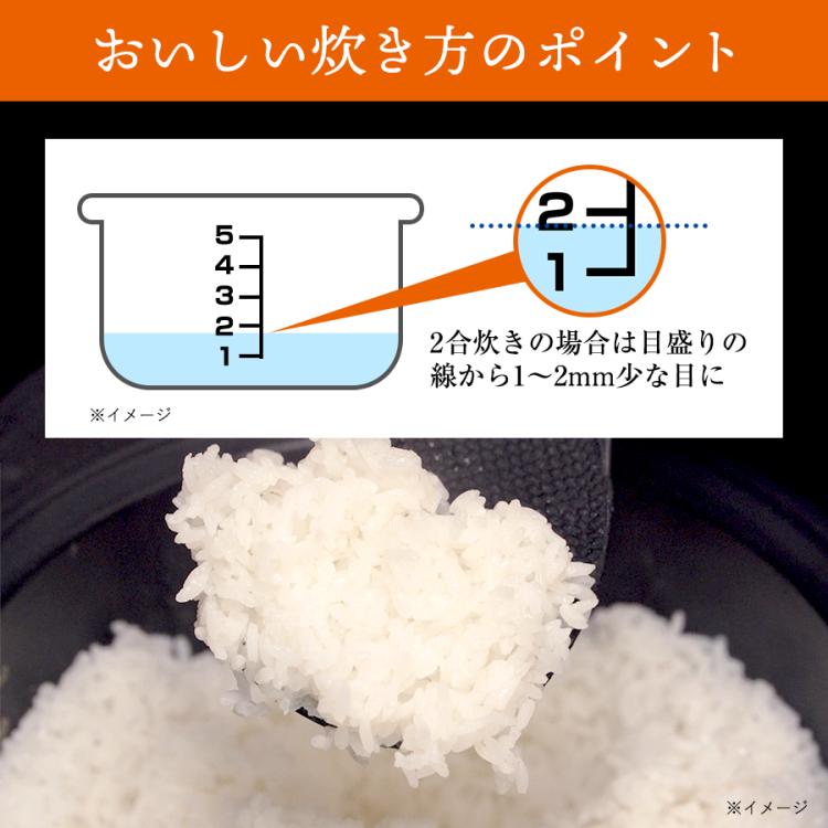 令和6年産 米10kg 宮城県 だて正夢10kg（5kg×2） ブランド米