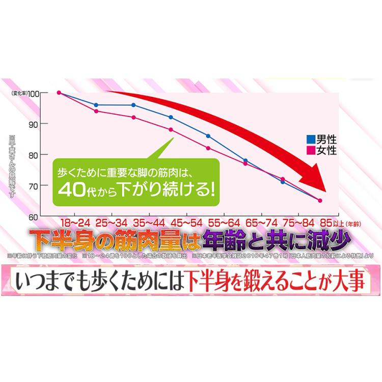 Jogfoot 歩トレパッド／千葉真子監修／足裏EMS | TBSショッピング