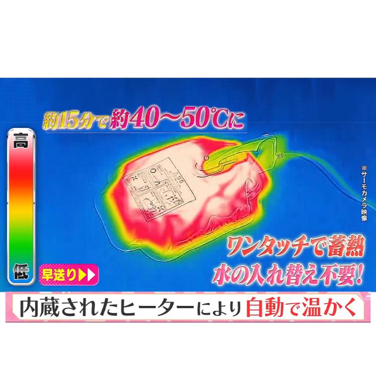 湯タンポ 0-8602-01 立つ湯たんぽ (袋付き/2.6L) 【AXEL】 アズワン