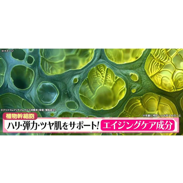 CANADEL(カナデル) プレミアゼロ／58g | TBSショッピング
