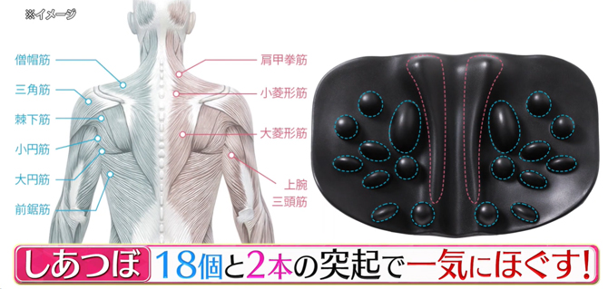 18個と2本の突起「しあつぼ」で
一気にほぐす※