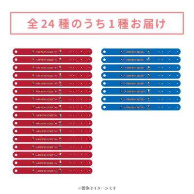 ランファンQUEST | TBSショッピング